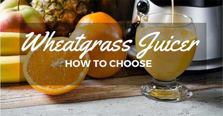 How Do You Choose The Best Wheatgrass Juicer? All You Need To Know