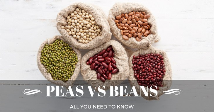 All You Need To Know About The Difference Between Peas And Beans